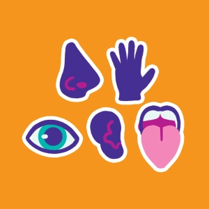 Video: Los 5 sentidos